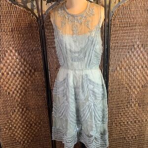 Elegant Blue Embroidered Dress